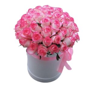 Box Rosa