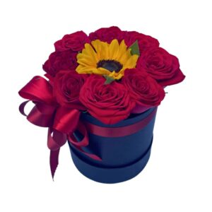 Box Encanto