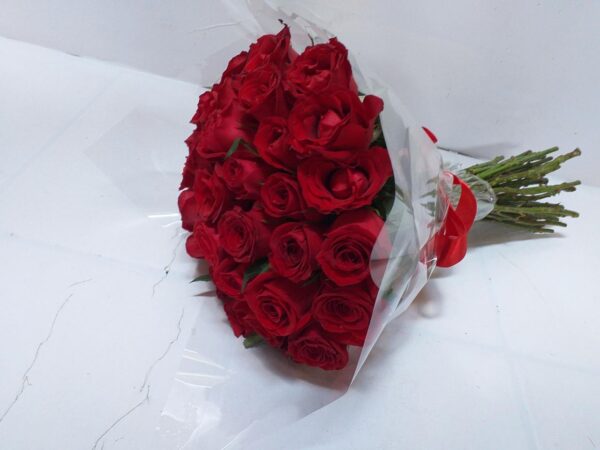  - Imagem 2